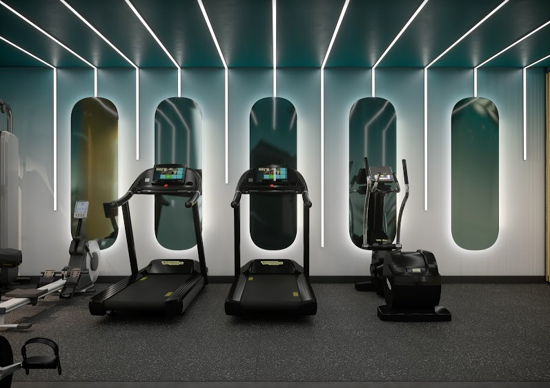 two treadmills and a crossfit machine against a wall of mirrors